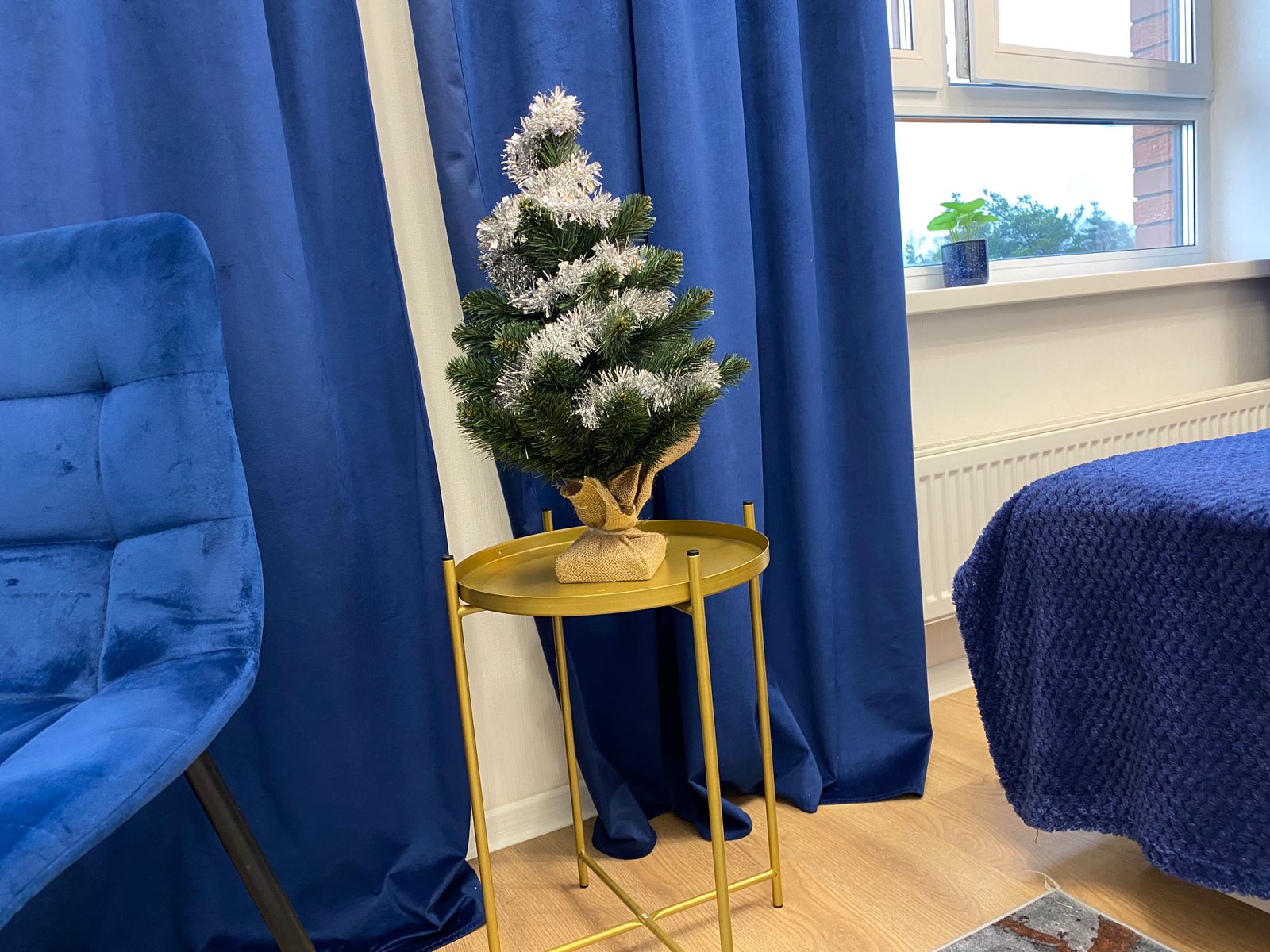 Уютная студия